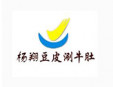 杨翔豆皮涮牛肚加盟