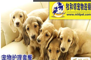 牧和邻加盟