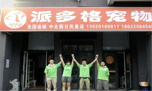 派多格宠物加盟