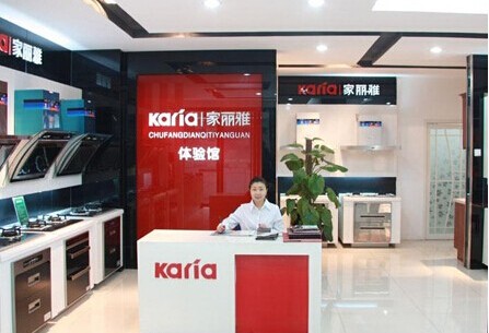 家丽雅厨电